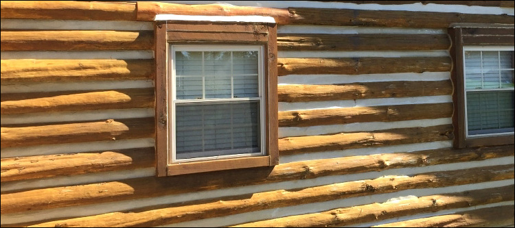 Log Home Whole Log Replacement  Brunswick County, Virginia