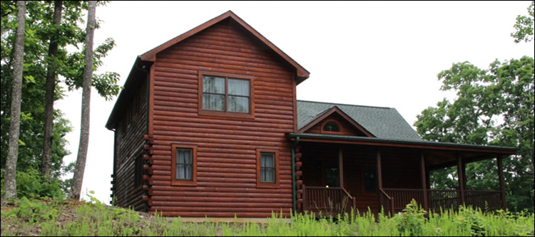 Professional Log Home Borate Application  Brunswick County, Virginia